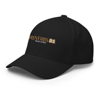 Proverbs 31 - Structured Twill Cap