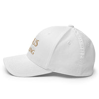 Jesus is the original lion king - Structured Twill Cap