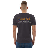 I committed the crime, JESUS did the time - Unisex organic cotton t-shirt