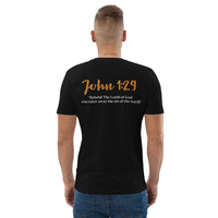 I committed the crime, JESUS did the time - Unisex organic cotton t-shirt