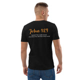 I committed the crime, JESUS did the time - Unisex organic cotton t-shirt