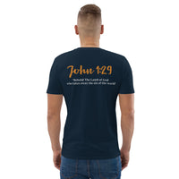 I committed the crime, JESUS did the time - Unisex organic cotton t-shirt