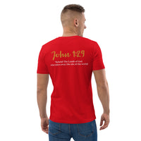 I committed the crime, JESUS did the time - Unisex organic cotton t-shirt