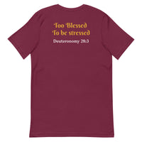 I’m Simply the Blessed -  Unisex t-shirt